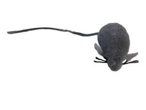 Myš malá 5cm